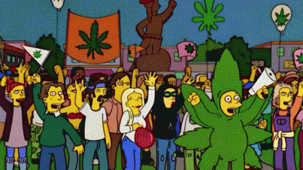 Simpsons-Cannabis