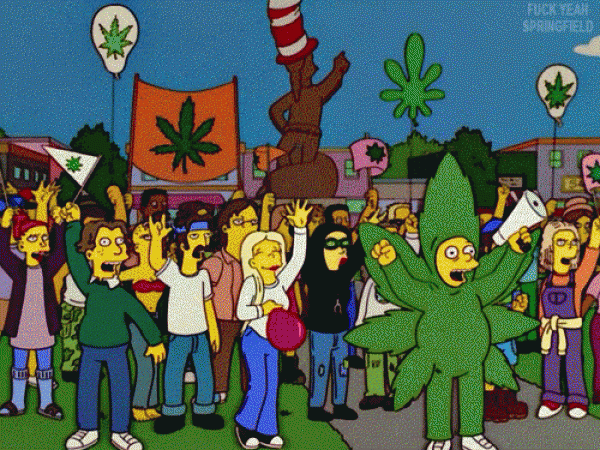 Simpsons-Cannabis